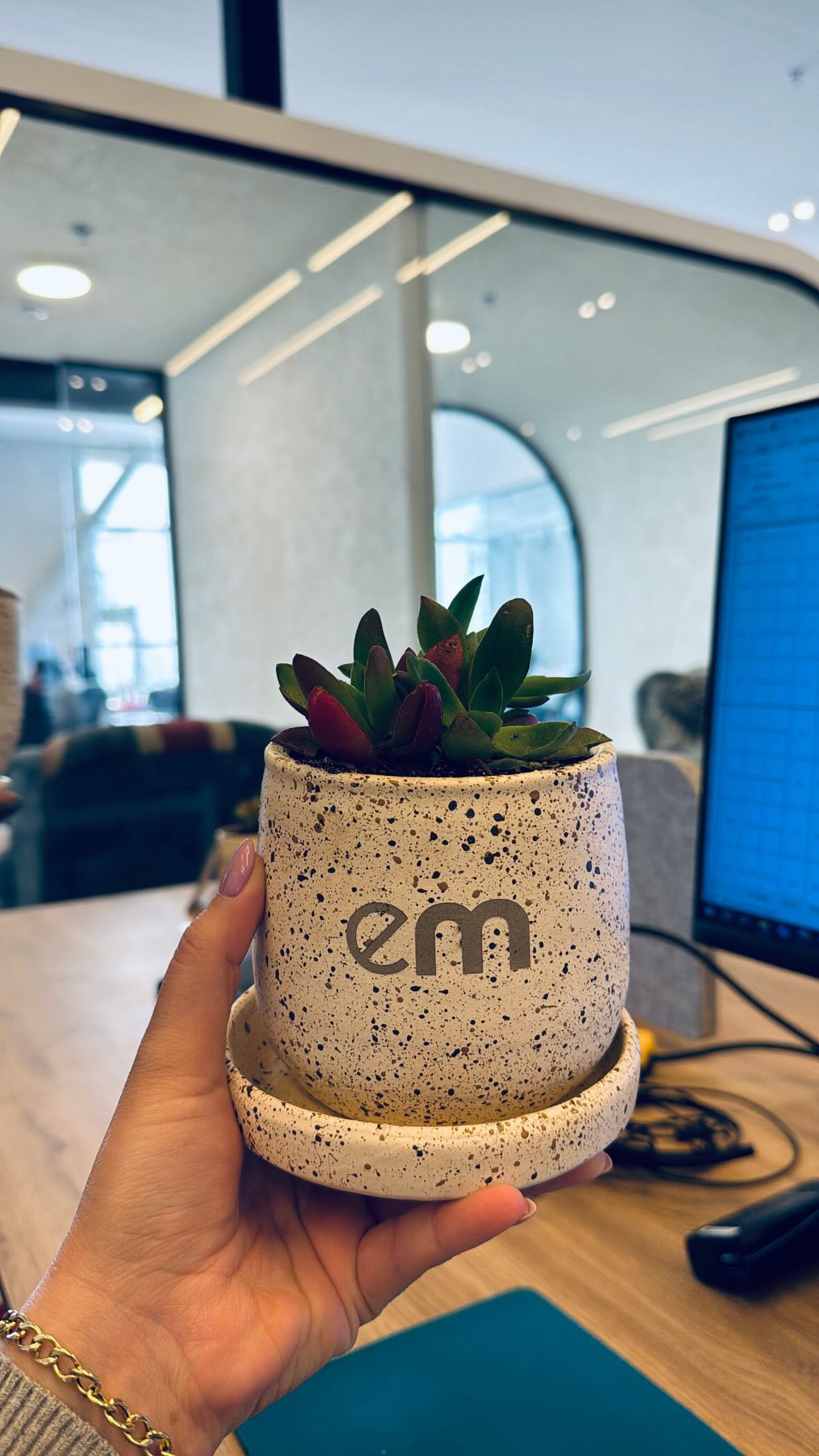 Customized Pot