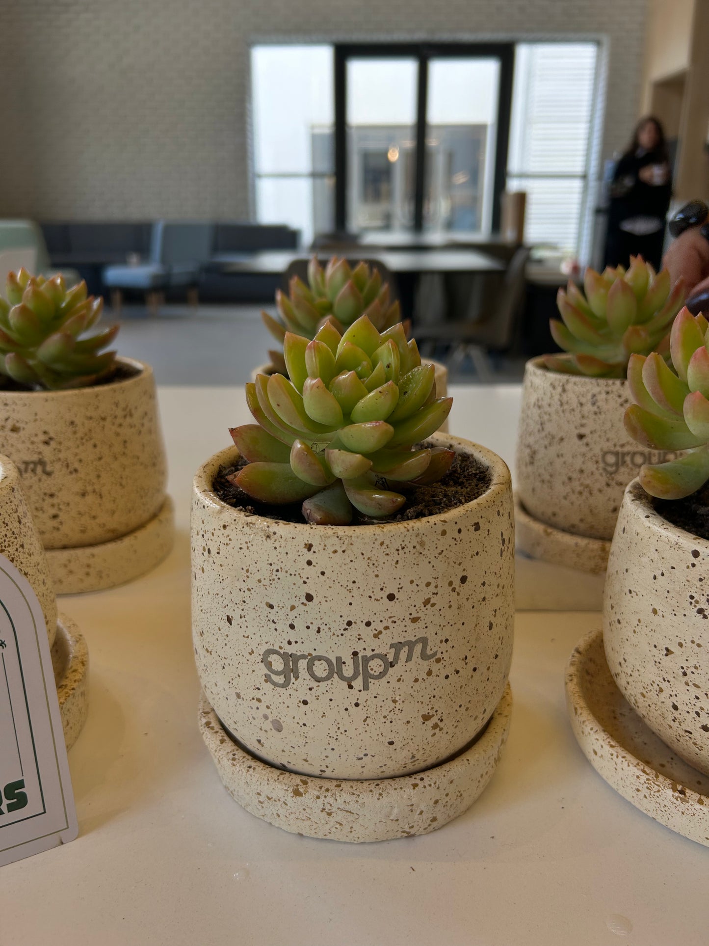 Customized Pot