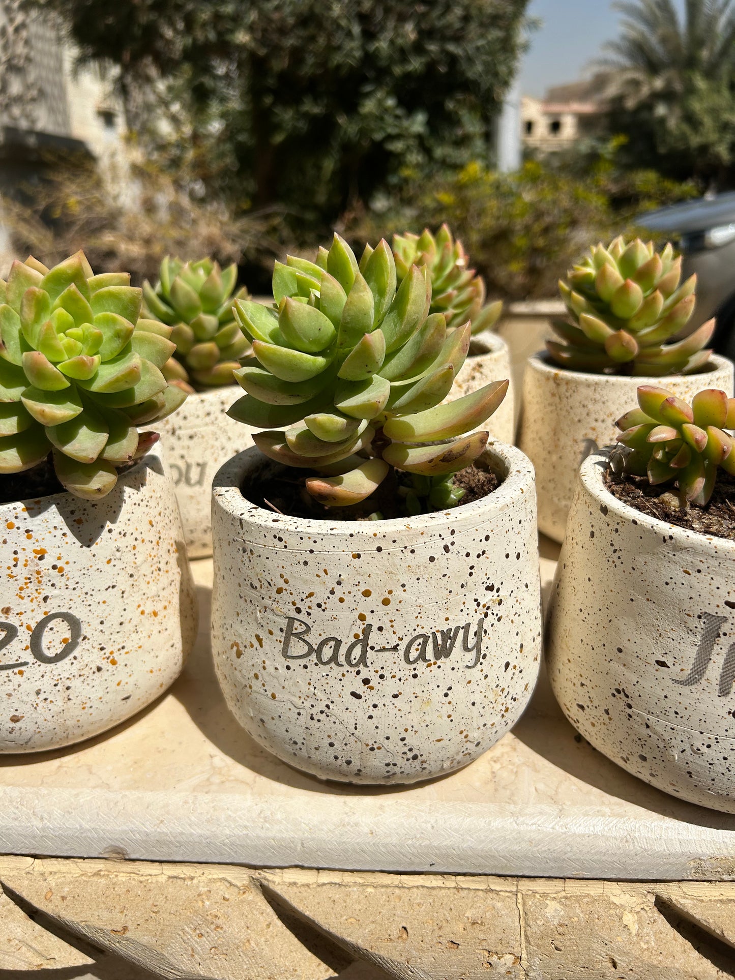 Customized Pot