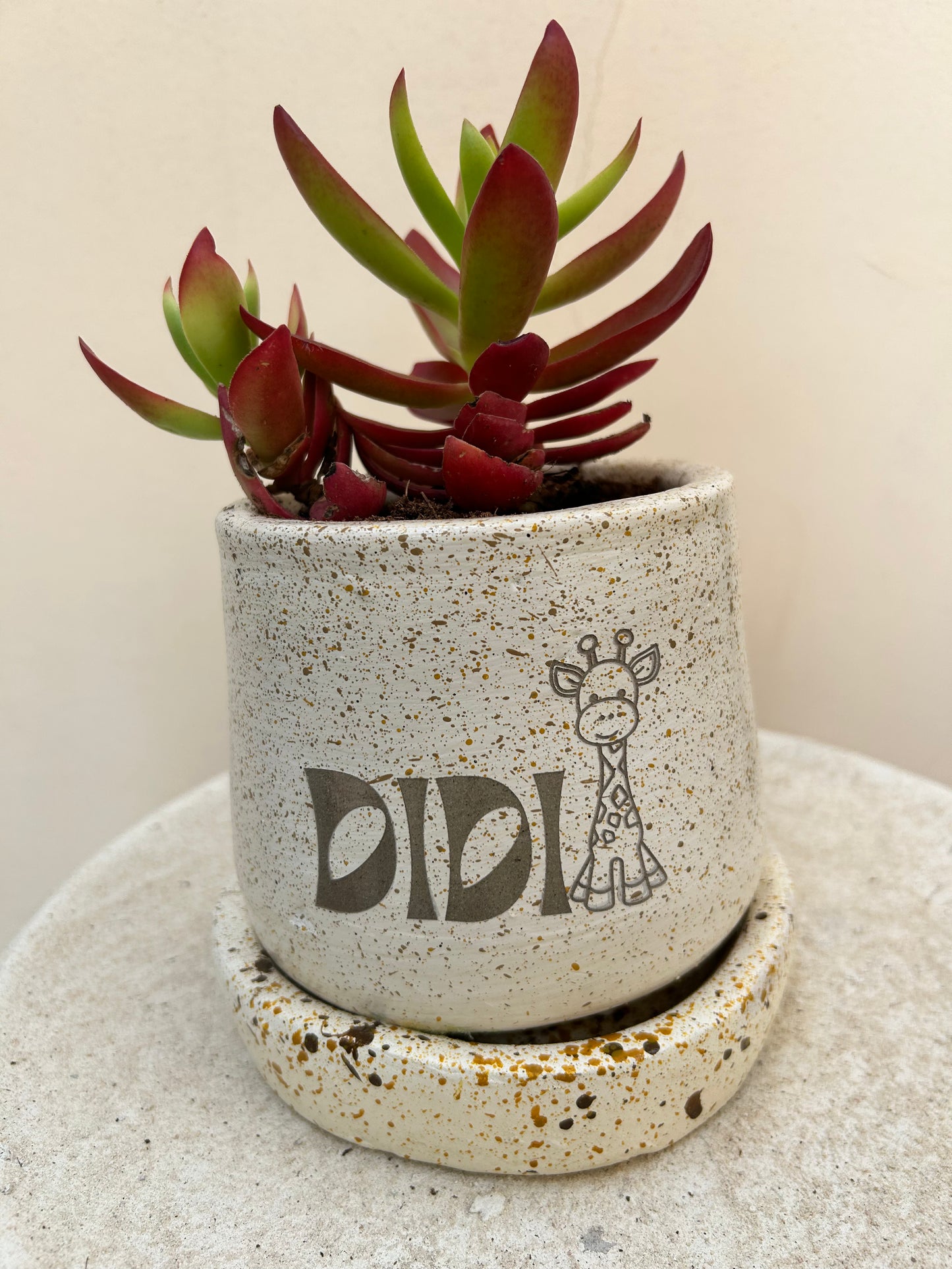 Customized Pot
