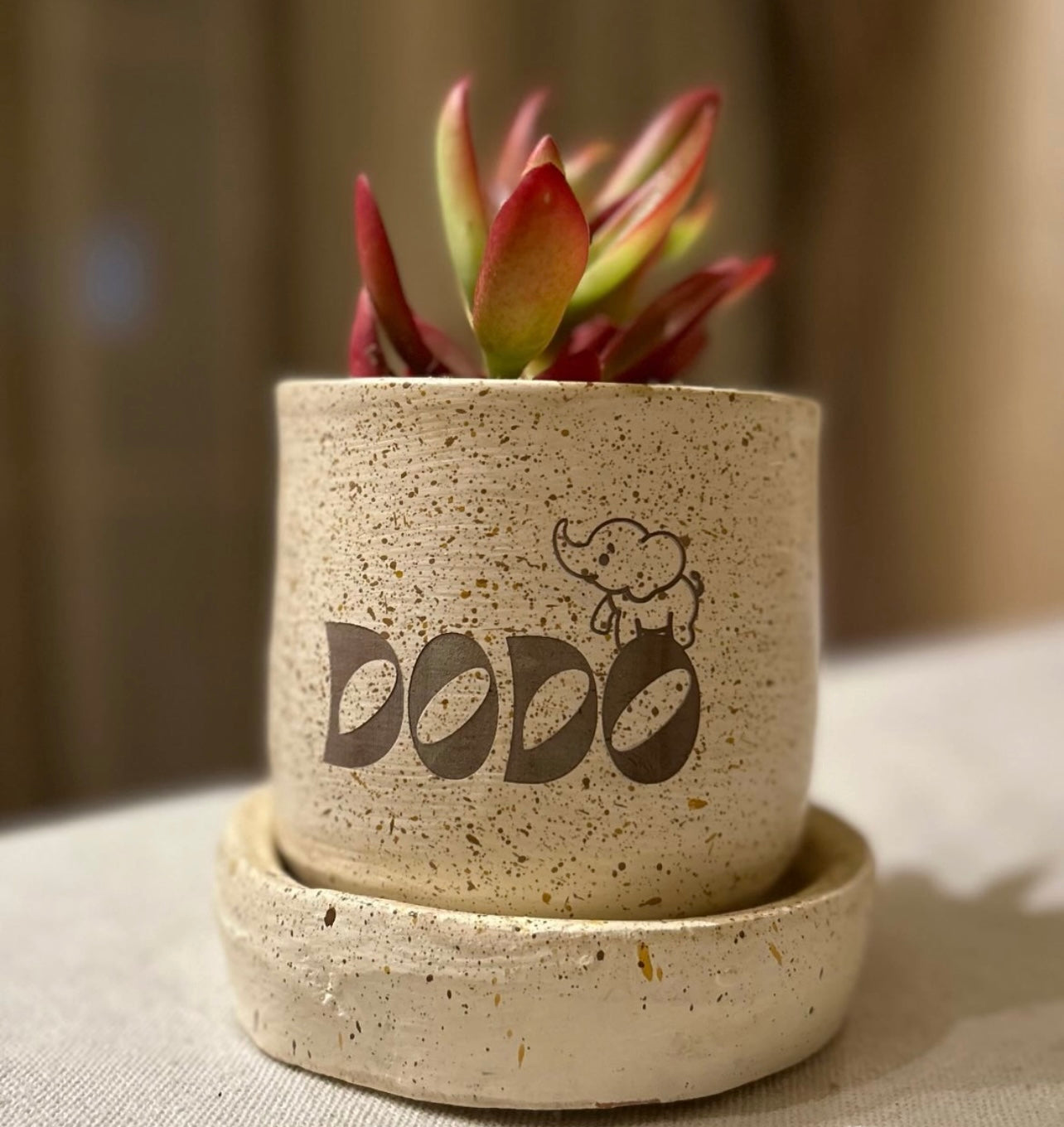 Customized Pot
