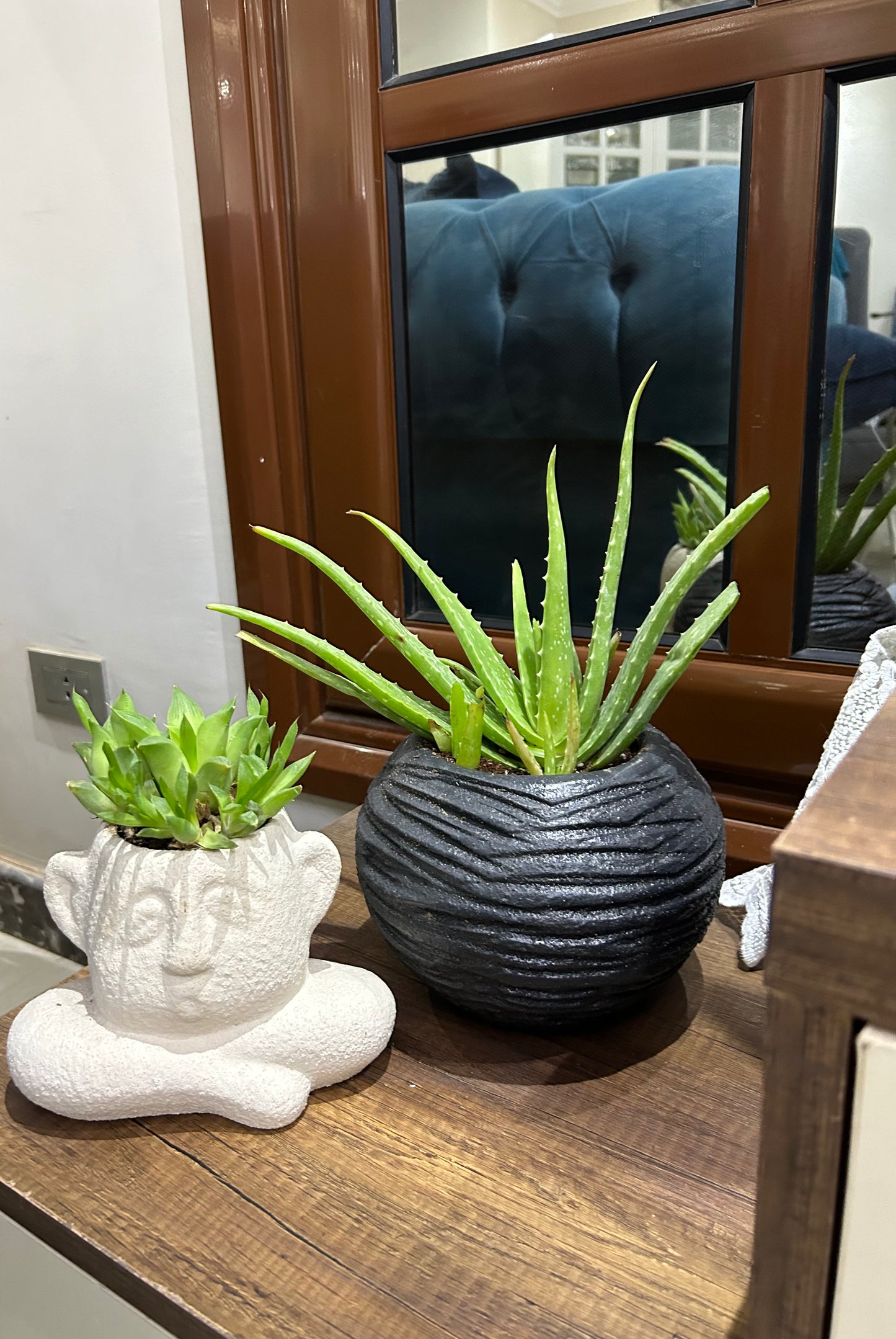 Edgy Pot